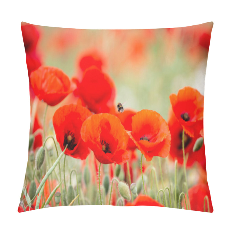 Personality  Pretty Poppies In The Countryside With A Bee Hovering Overhead Pillow Covers