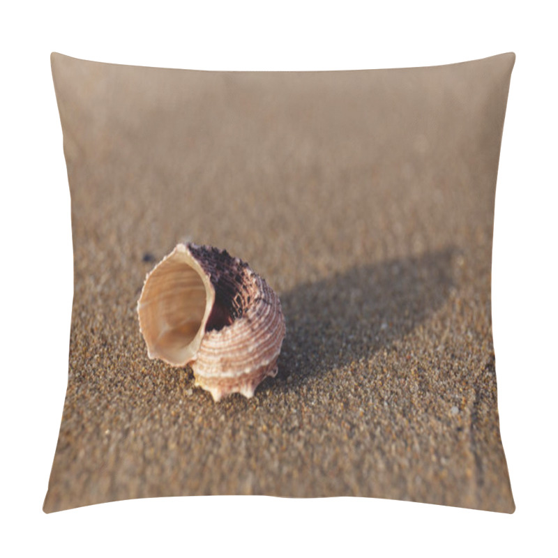 Personality  Selective Focus Of Seashell On Wet Sand On Beach Pillow Covers