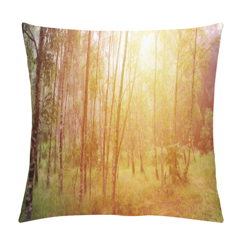 Personality  Panoramic Birch Forest With Misty Fog At Sunrise Pillow Covers