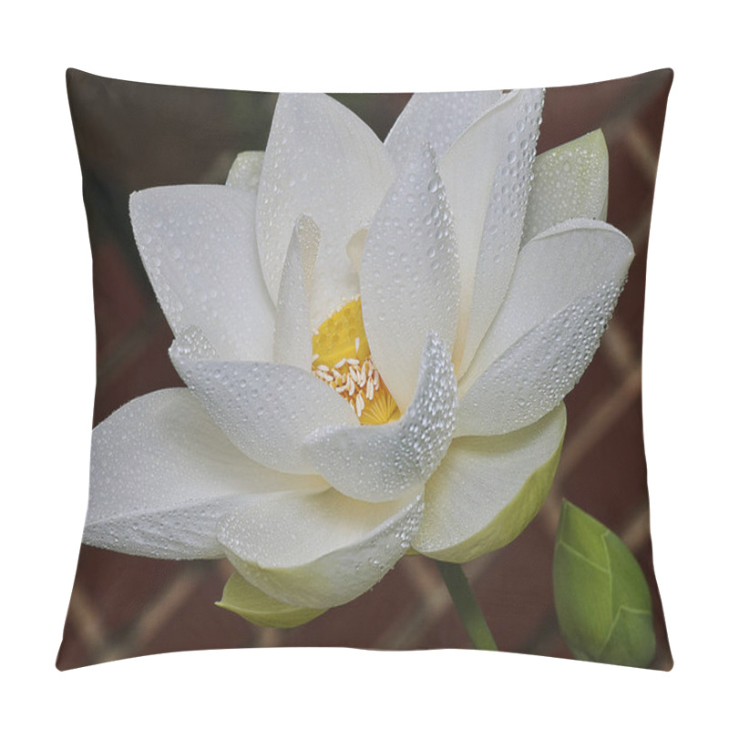 Personality  White Petal Lotus Flower Pillow Covers