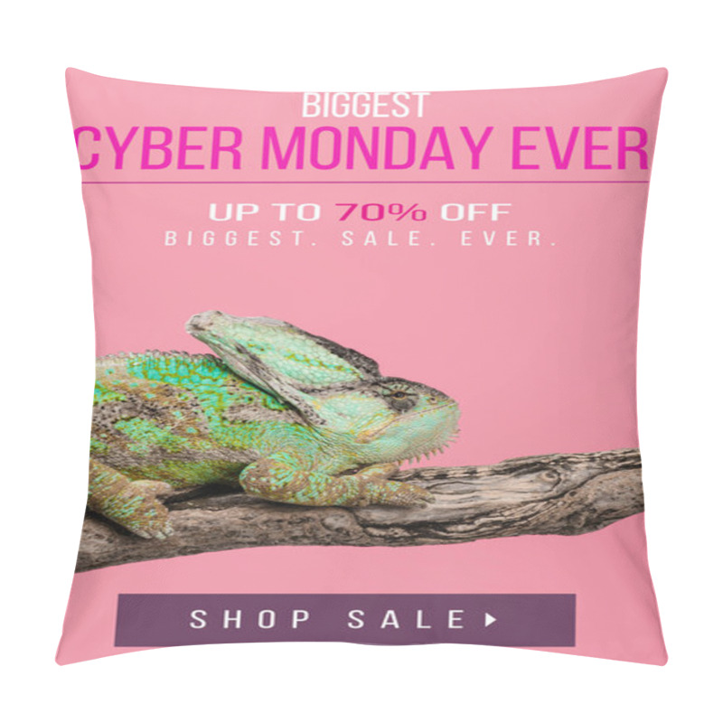 Personality  Beautiful Exotic Chameleon Sitting On Tree Branch Isolated On Pink With Cyber Monday Ever Shopping Pillow Covers