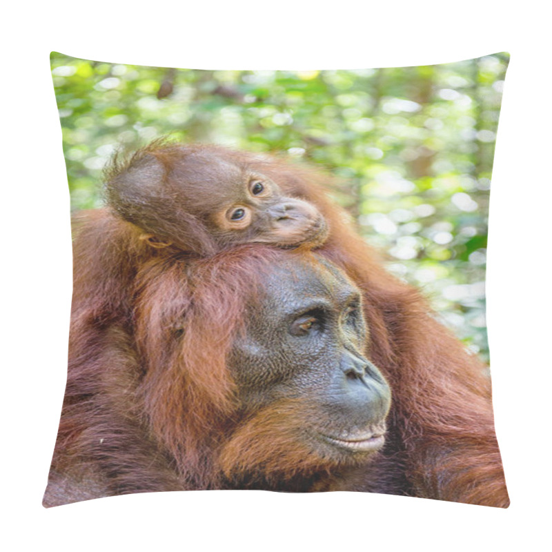 Personality  Baby Orangutan On Mother's Back Pillow Covers