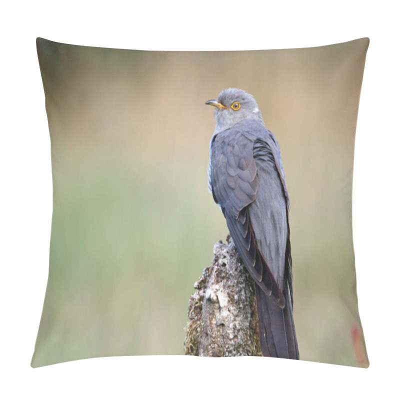 Personality  Male Cuckoo Displaying And Feeding In The Woods Pillow Covers