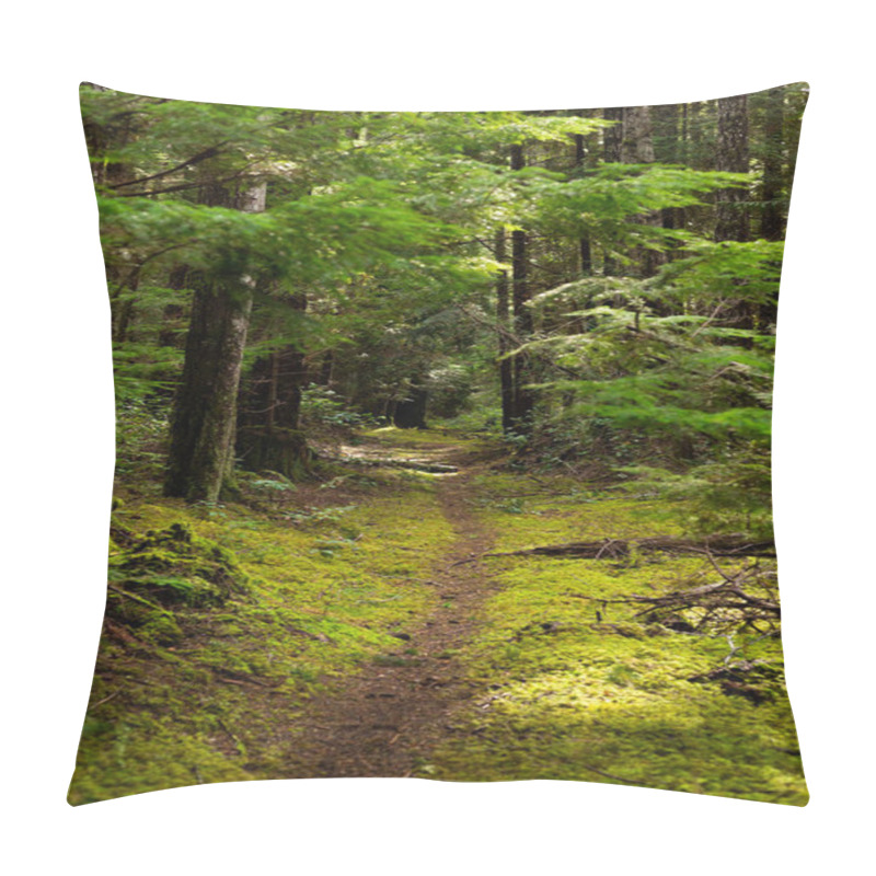 Personality  Trail Through Mossy Forest On Cortes Island, BC Pillow Covers