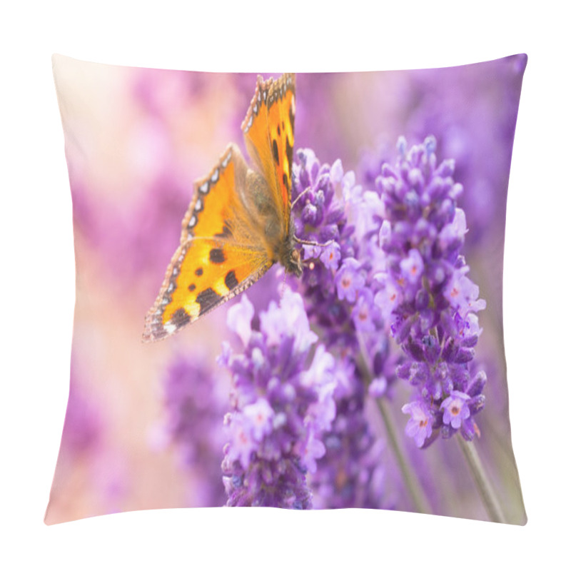 Personality  Lavender Blossoms With Butterfly Pillow Covers