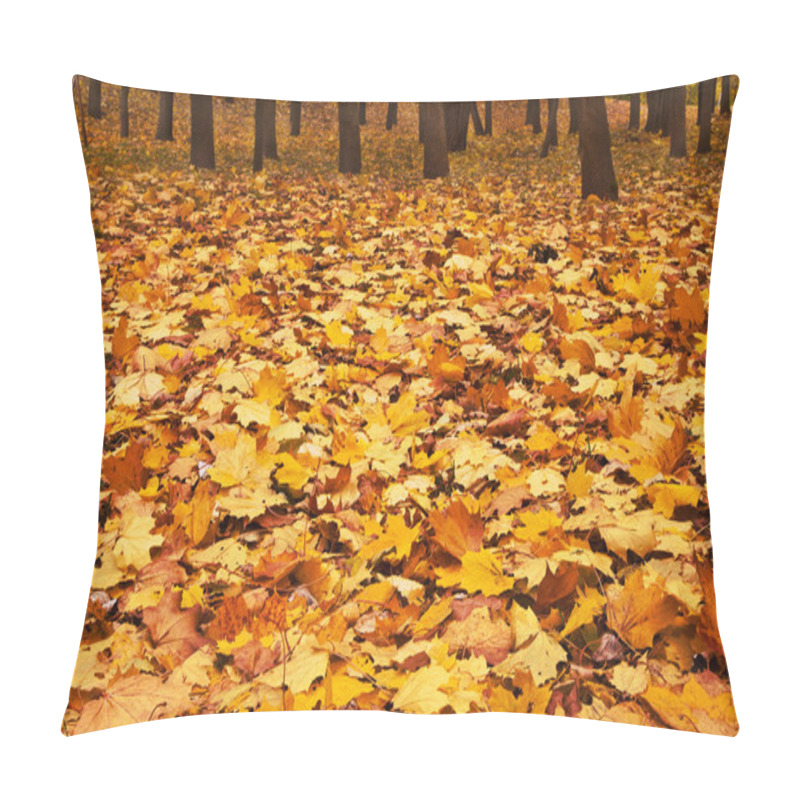 Personality  Autumn Maple Leaves Pillow Covers