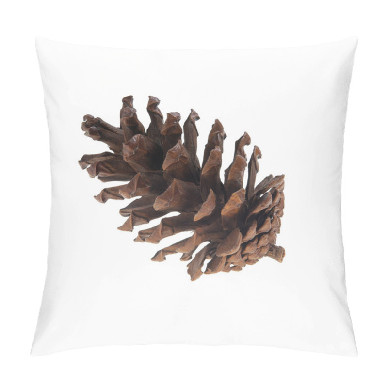 Personality  Christmas Pine Cone Isolated On White Background. Pillow Covers