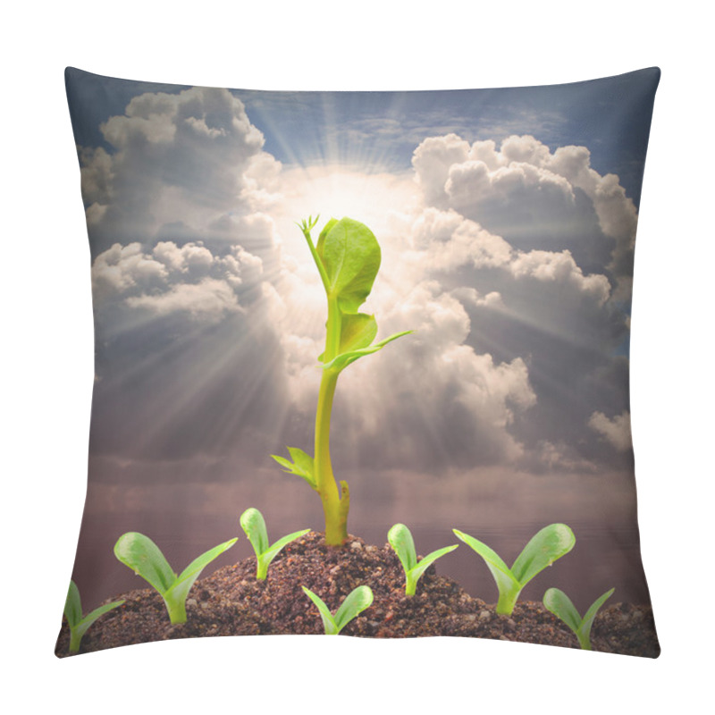 Personality  Seedlings Growth View Pillow Covers