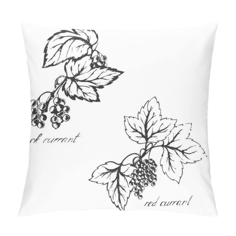 Personality  Sketch Black And Red Currants , Berries , Sketch Done With Ink O Pillow Covers