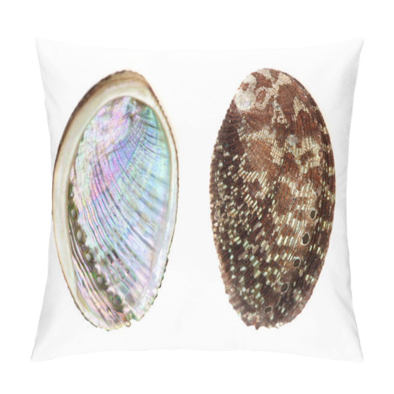 Personality  Green Ormer, Haliotis Tuberculata Pillow Covers