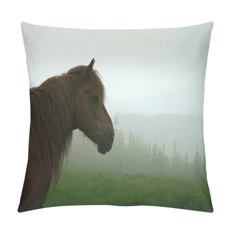 Personality  A Hutsul Horse With A Mane, A Portrait Of A Horse In The Fog On A Paddock In The Ukrainian Carpathians, Head Close-up, In Profile Pillow Covers