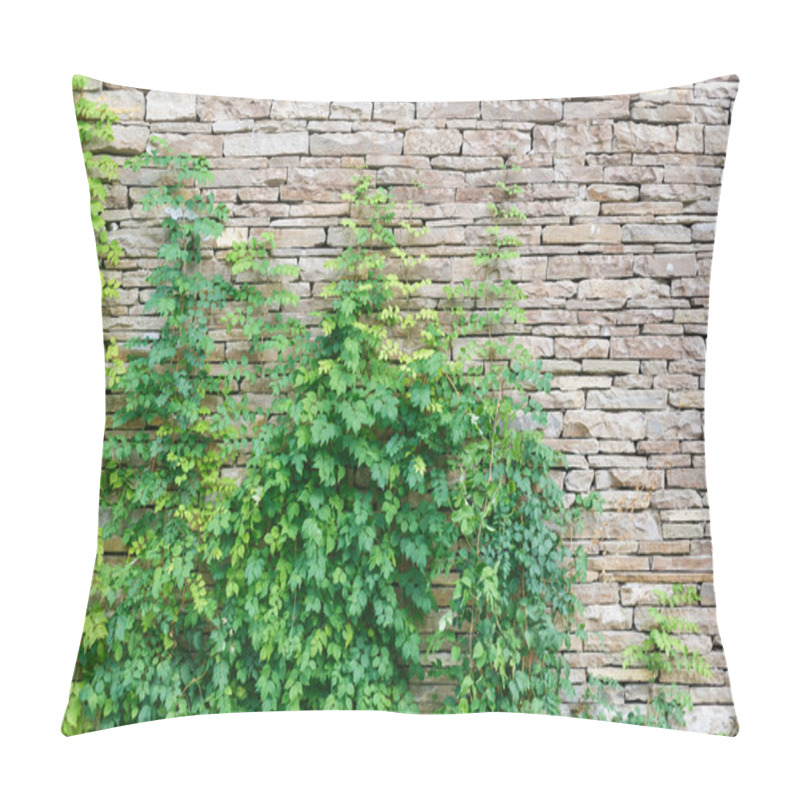 Personality  Bindweed On The Wall Pillow Covers