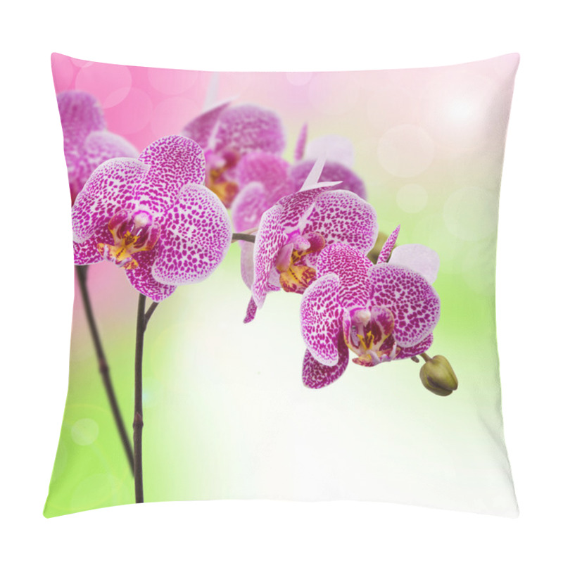 Personality  Orchid Flowers Pillow Covers