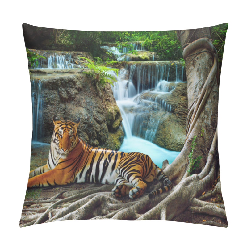 Personality  Indochina Tiger Lying With Relaxing Under Banyantree Against Bea Pillow Covers