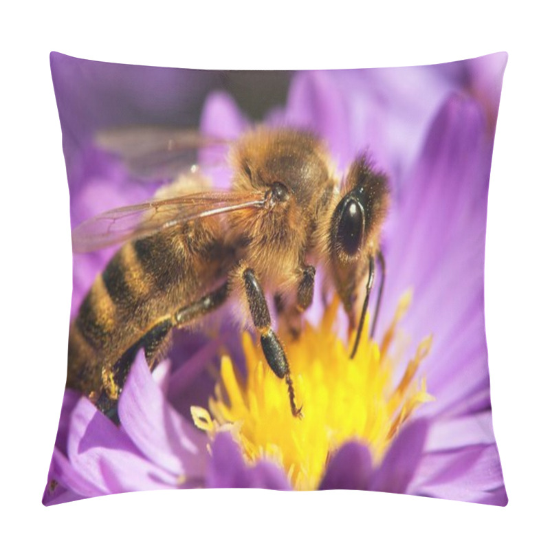 Personality  Honey Bee Sitting On The Violetflower Pillow Covers