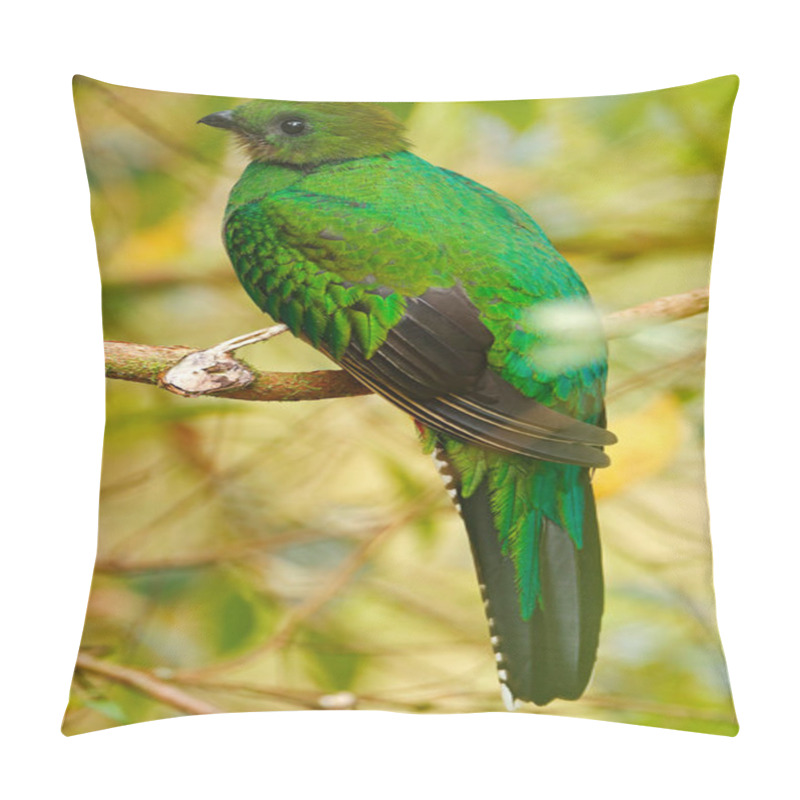 Personality  Magnificent Sacred Green And Red Bird Pillow Covers