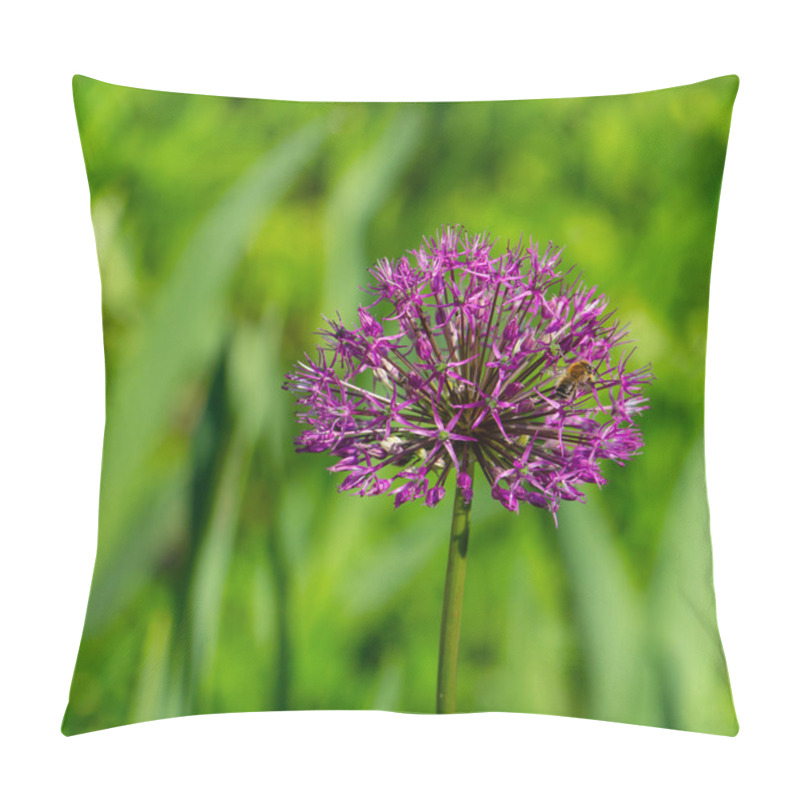 Personality  Decorative Onion, Beautiful Violet, Purple Spring Flowers In The Meadow, Floral Background Of Delicate Flowers Pillow Covers