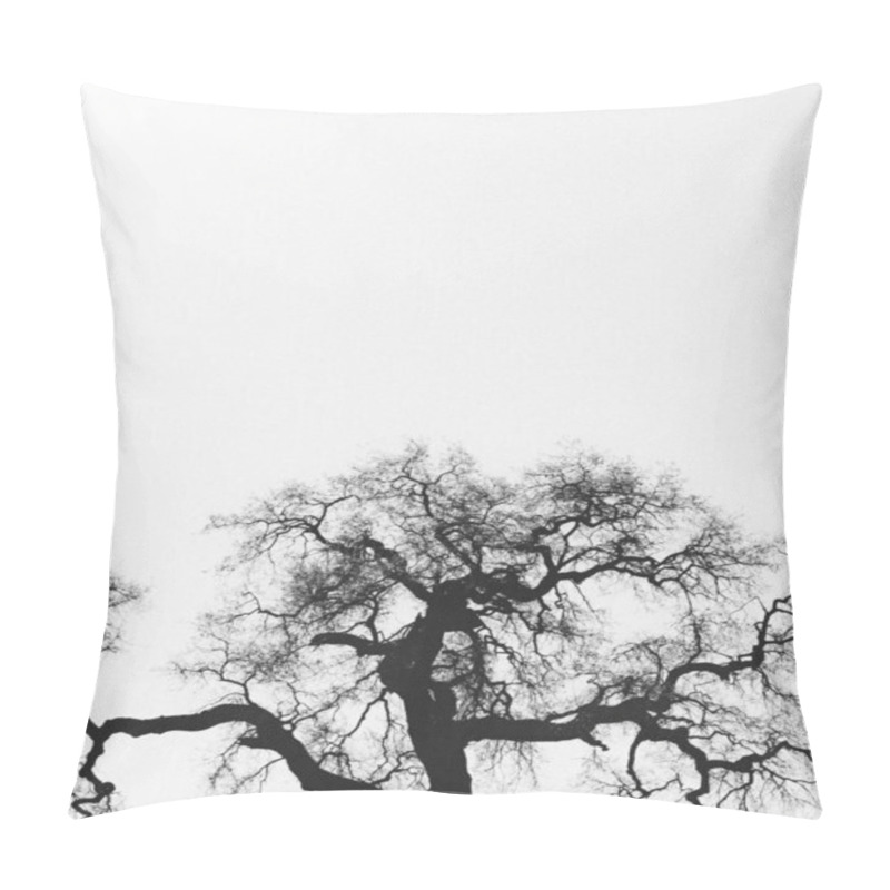 Personality  A Stark Silhouette Of A Barren Tree Against A Pale Sky. Pillow Covers