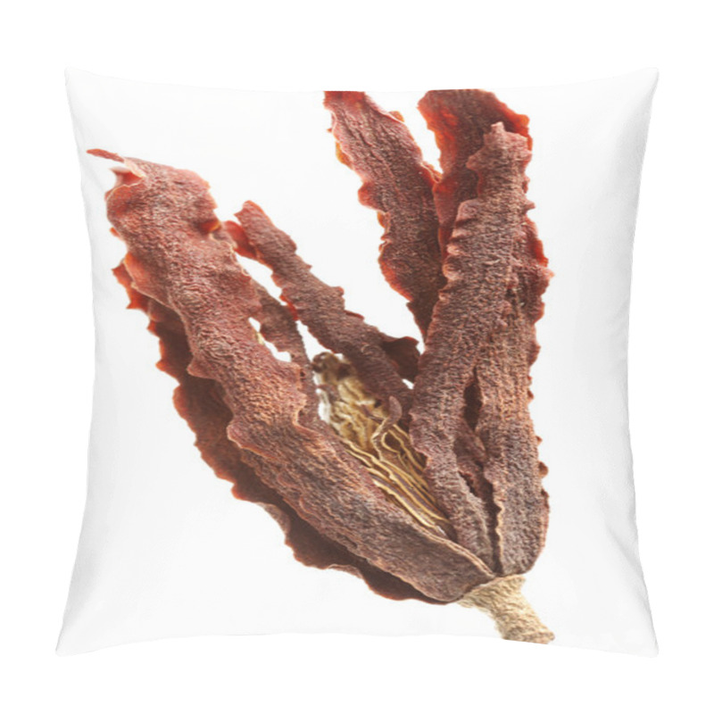 Personality  Dry Magnolia Flower Pillow Covers