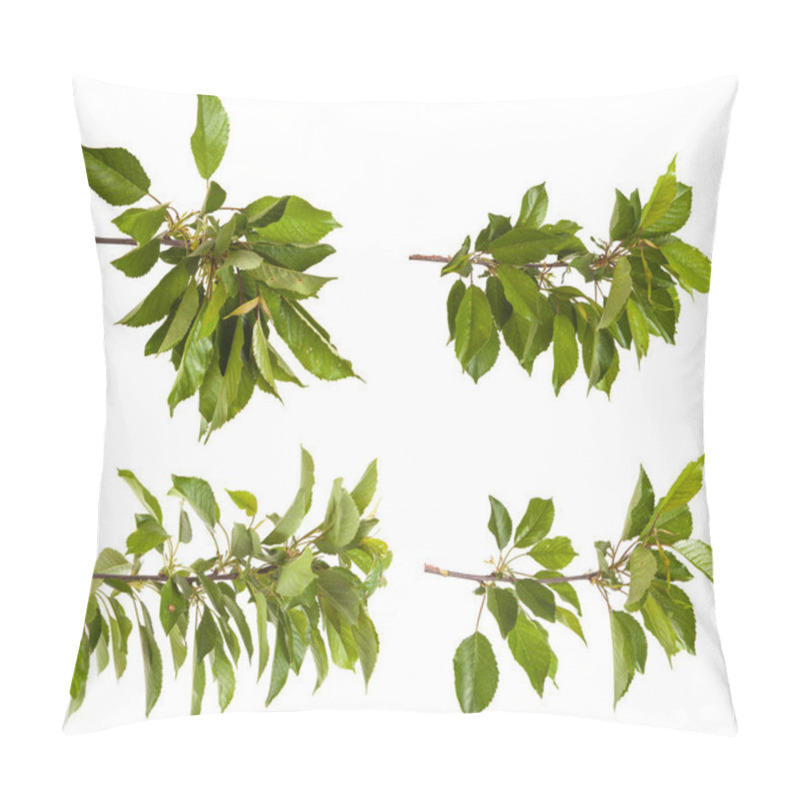 Personality  Cherry Tree Branch Isolated On White Background. Set Pillow Covers