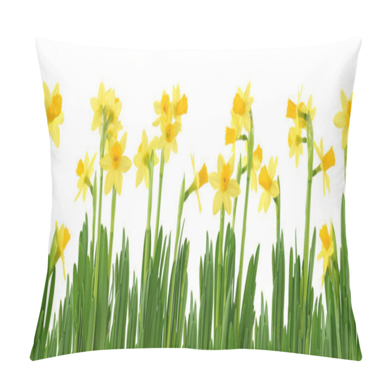 Personality  Yellow Daffodils Pillow Covers