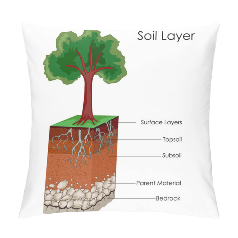 Personality  Education Chart Of Science For Layers Of Soil Diagram Pillow Covers