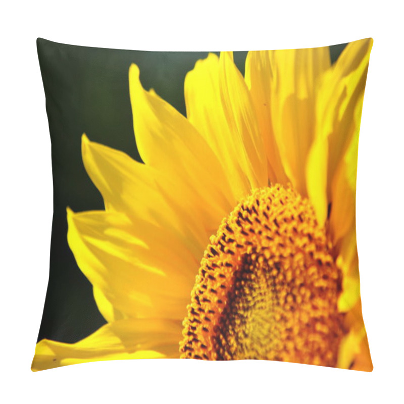 Personality            Luxurious Flora Altaya Pleases Eye Of The Artist,travellier Pillow Covers