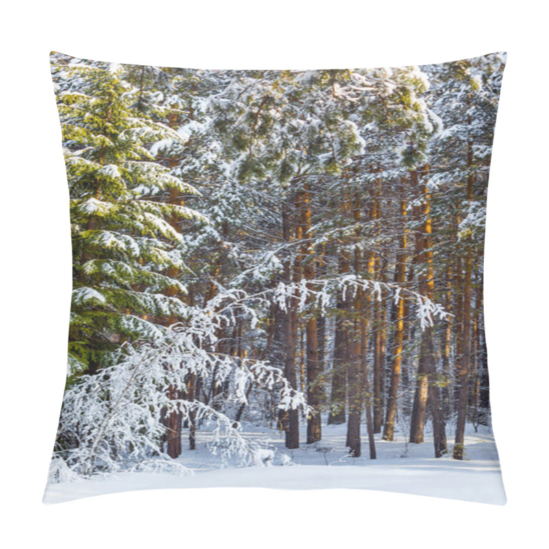 Personality  Winter Landscape With Snow-covered Pines. Western Siberia, Russia Pillow Covers