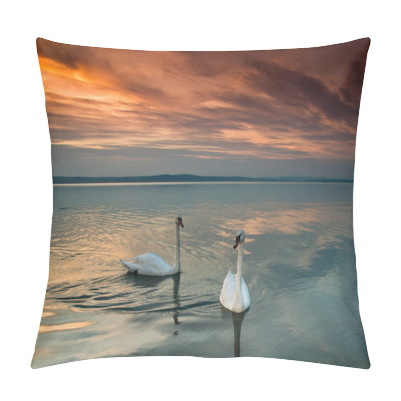 Personality  Beautiful Swans In Lake Balaton Pillow Covers