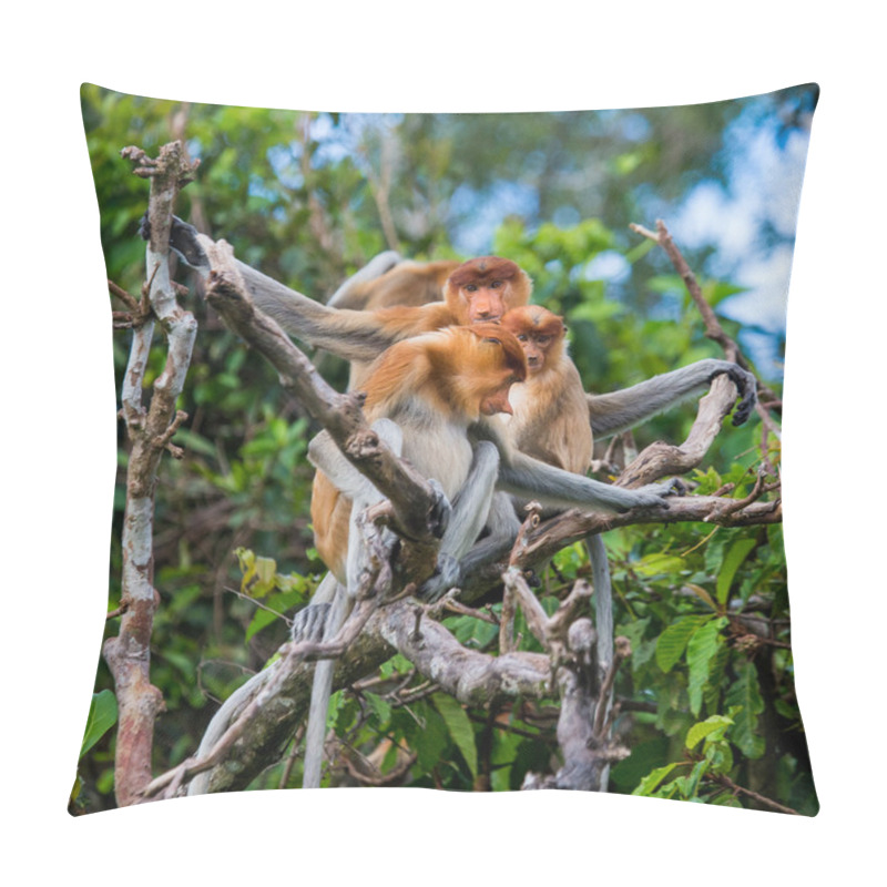 Personality  Proboscis Monkeys (Nasalis Larvatus) Pillow Covers