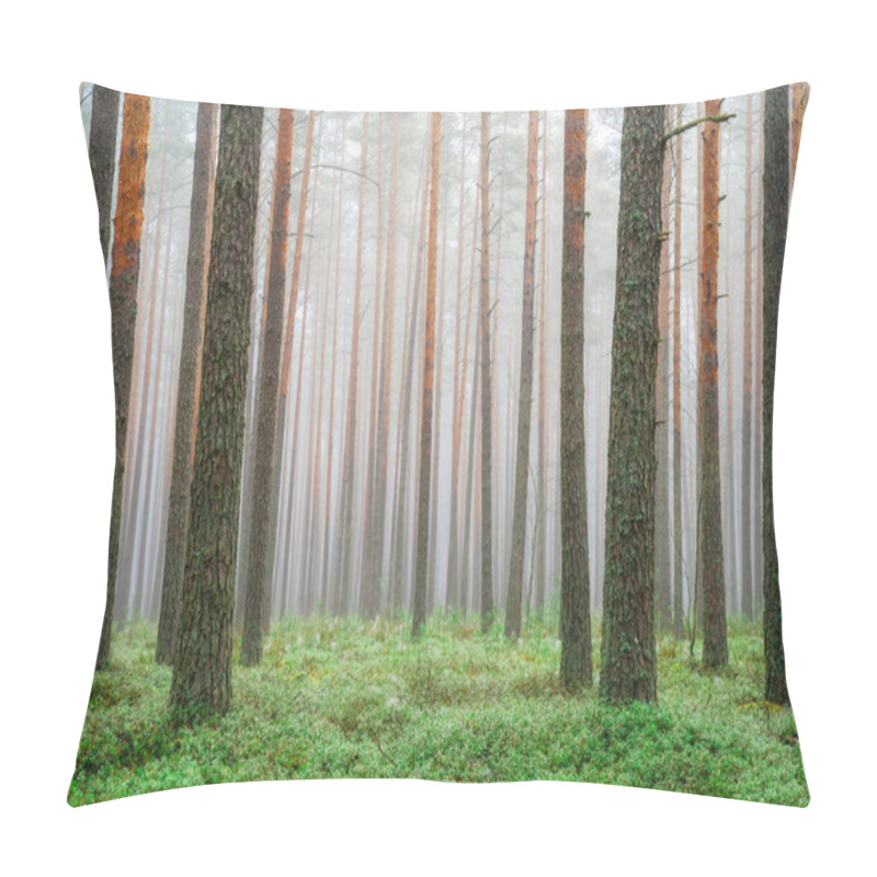 Personality  Clear Green Forest. Scenic Spring Landscape. Pine Trees In Woodland With Green Moss In Misty Morning. Picturesque Forest Background. Pillow Covers