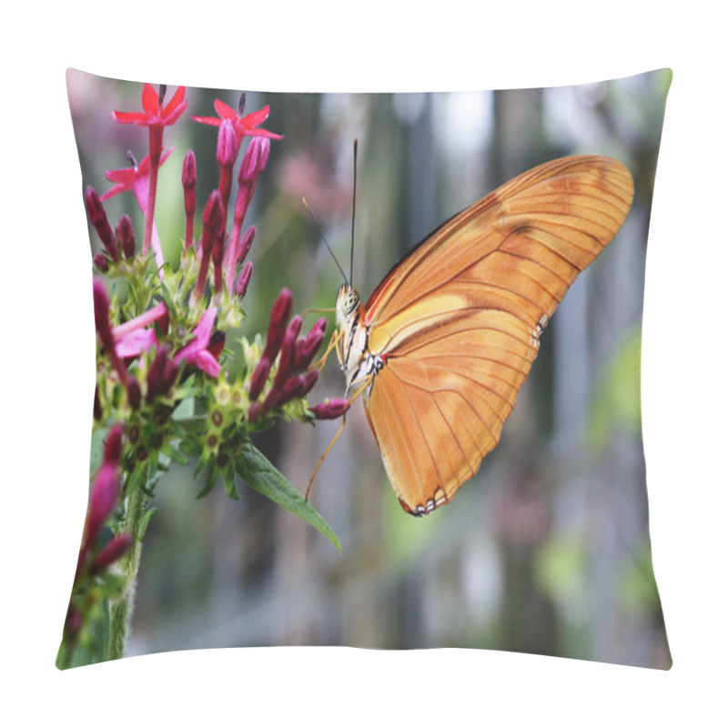 Personality  Butterfly Dryas Julia On A Flower  Pillow Covers