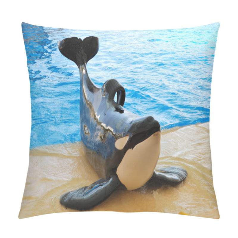 Personality  The Orcas Show In Loro Parque, Tenerife Island, Spain Pillow Covers