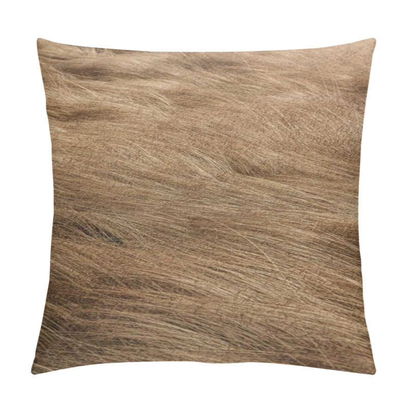 Personality  A Close-up Of Textured Golden-brown Grass Swaying In The Gentle Breeze. Pillow Covers