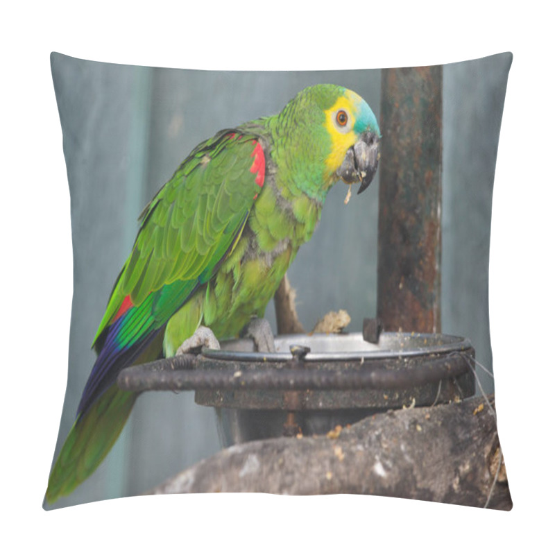 Personality  Turquoise-fronted Amazon (Amazona Aestiva) Pillow Covers