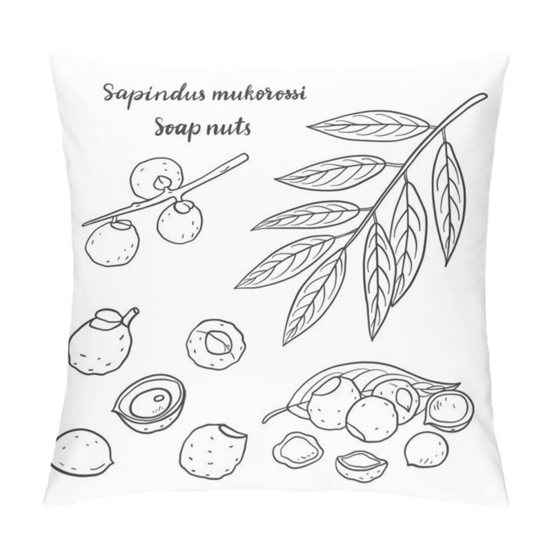 Personality  Sapindus Mukorossi (soap Nuts, Soapberry, Washnut). Pillow Covers