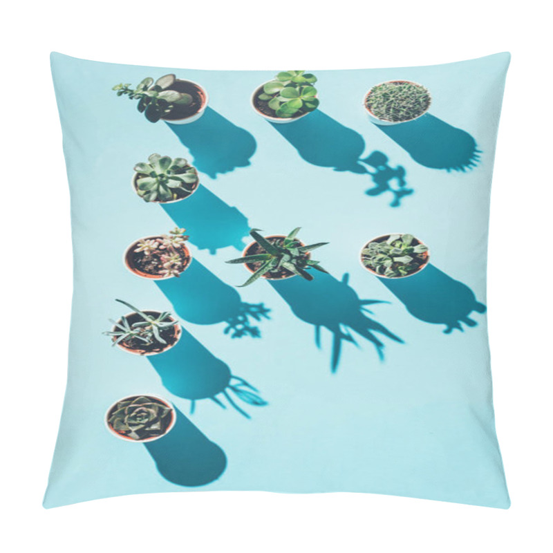 Personality  Top View Of Letter F Made From Green Potted Plants On Blue Pillow Covers