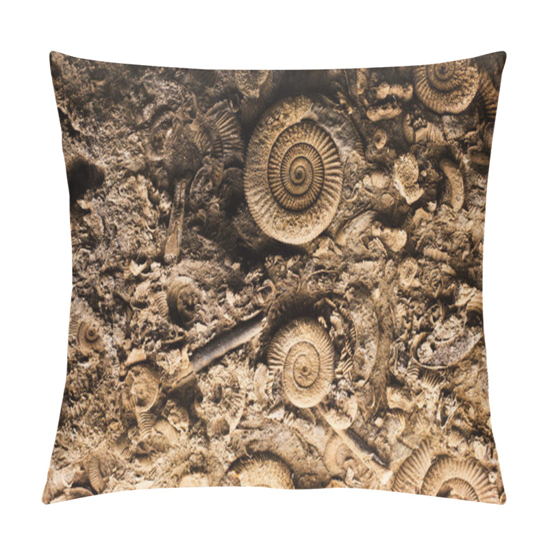 Personality  Fossils In Rock Pillow Covers