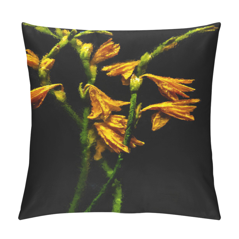 Personality  Beautiful Wet Orange Lilies And Buds With Green Stems Isolated On Black Pillow Covers