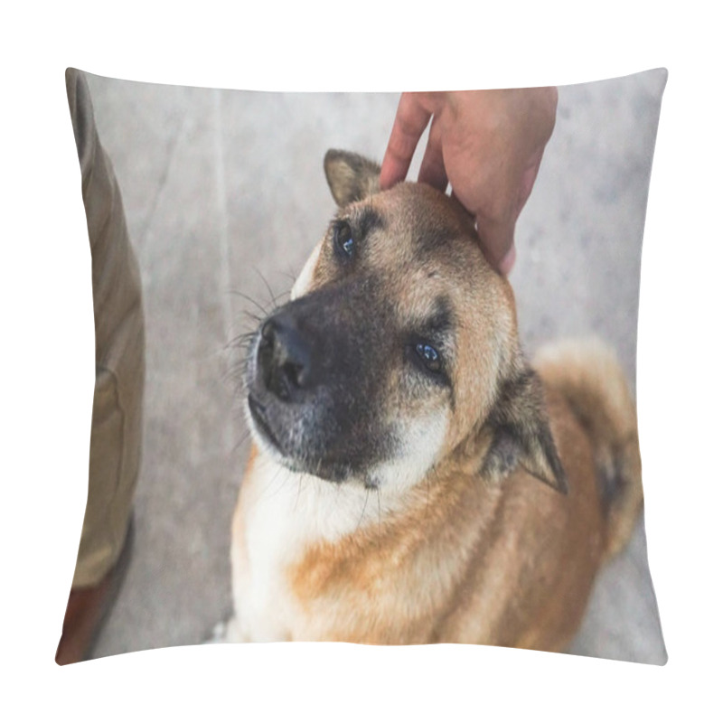 Personality  Male Hand Pat The Stray Dog Head Pillow Covers