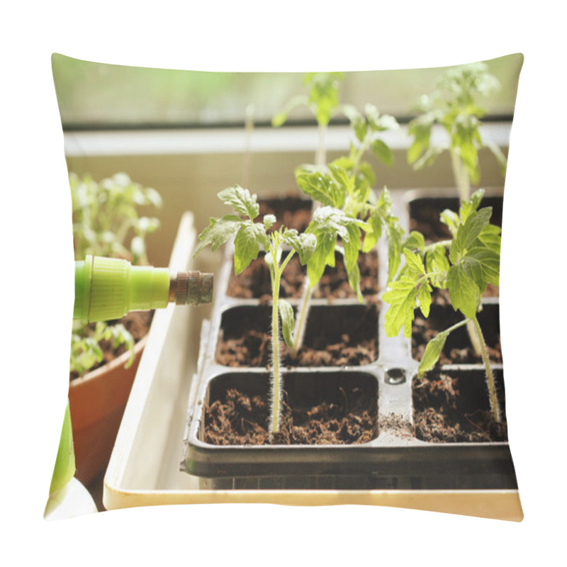 Personality  Young Plant Of Tomato Growing In A Tray Pillow Covers