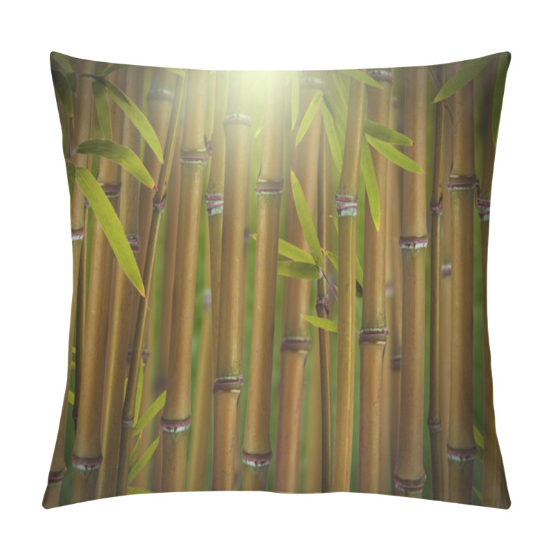 Personality  Bamboo Trees Pillow Covers