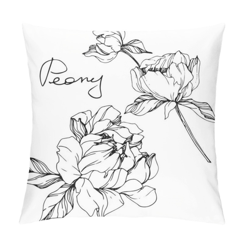 Personality  Vector Isolated Monochrome Peony Flower Sketch And Handwritten Lettering On White Background. Engraved Ink Art.  Pillow Covers