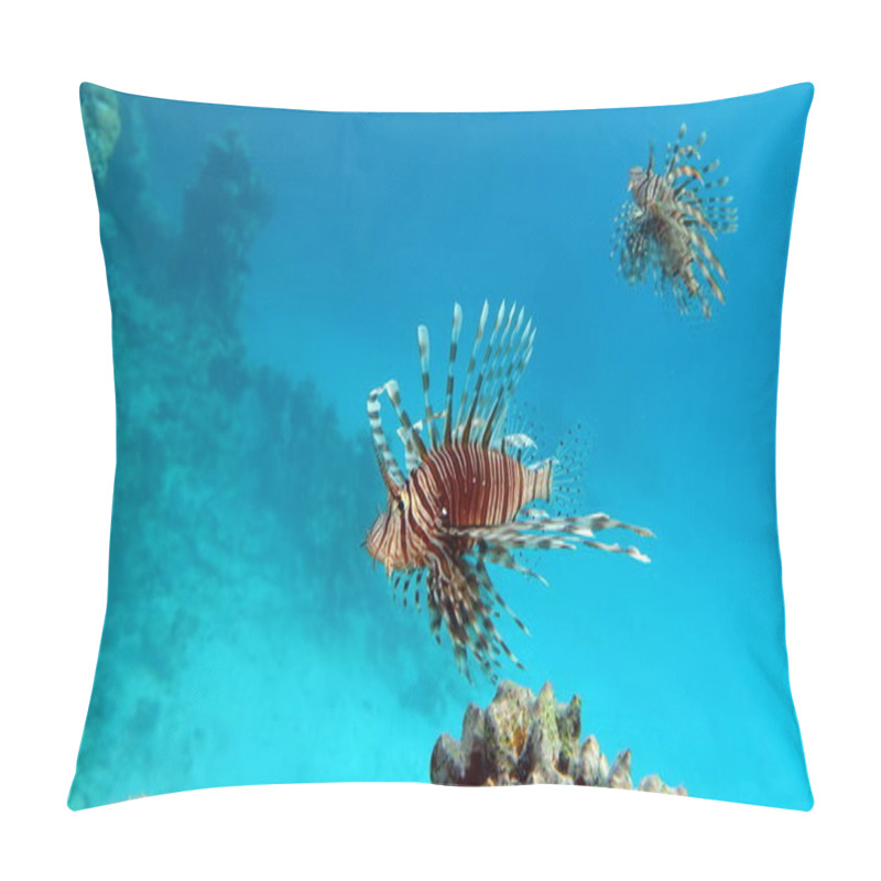 Personality  Lion Fish In The Red Sea. Pillow Covers