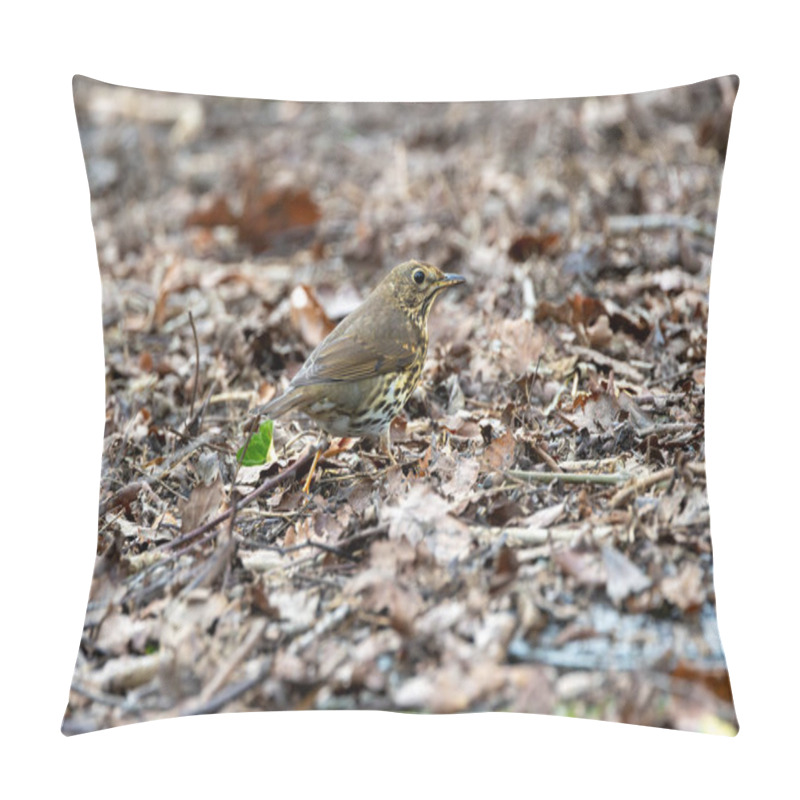 Personality  The Song Thrush (Turdus Philomelos) Eats Insects, Snails, And Berries. Photographed In Father Collins Park, Dublin. Pillow Covers