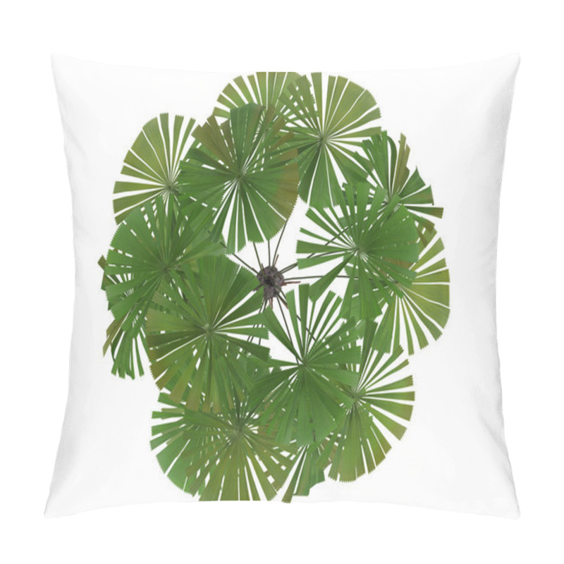 Personality  Australian Fan Palm Or Licuala Ramsayi Pillow Covers