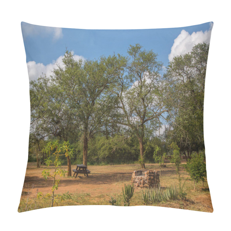 Personality  Landscape At Hlane-Royal National Park In Swaziland Pillow Covers