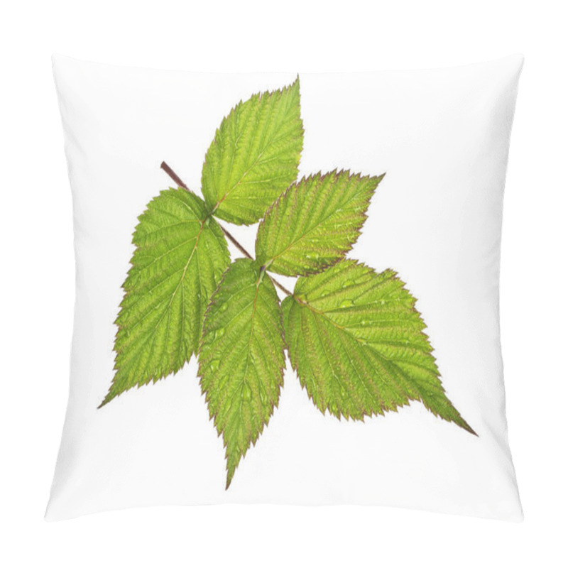 Personality  Raspberry Leaves In Water Drops On A White Background Pillow Covers