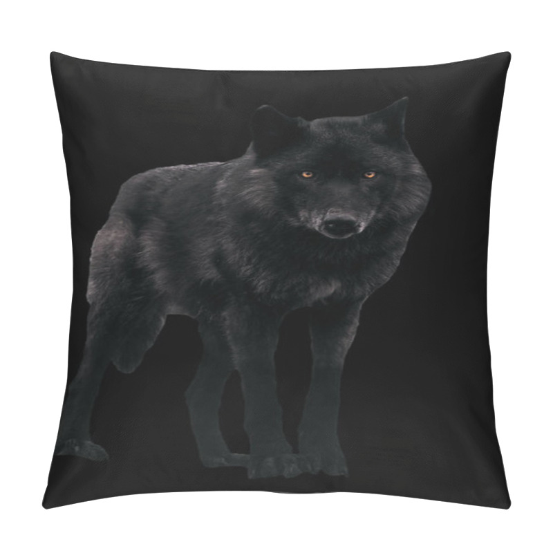 Personality  Black Wolf Looking At Camera Isolated On Black Pillow Covers