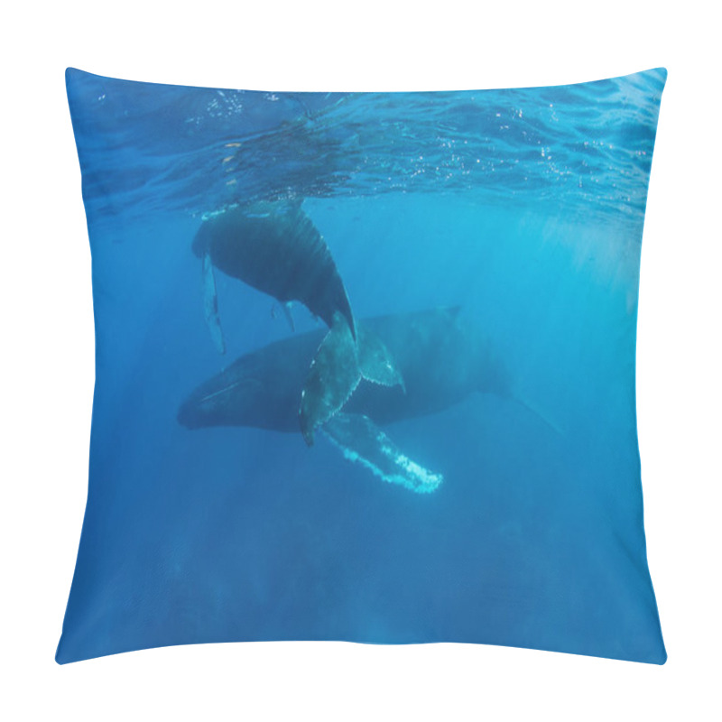 Personality  Humpback Whales In Blue Water Pillow Covers